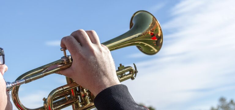 Tingley Brass Band – Canal Gardens, Roundhay Park